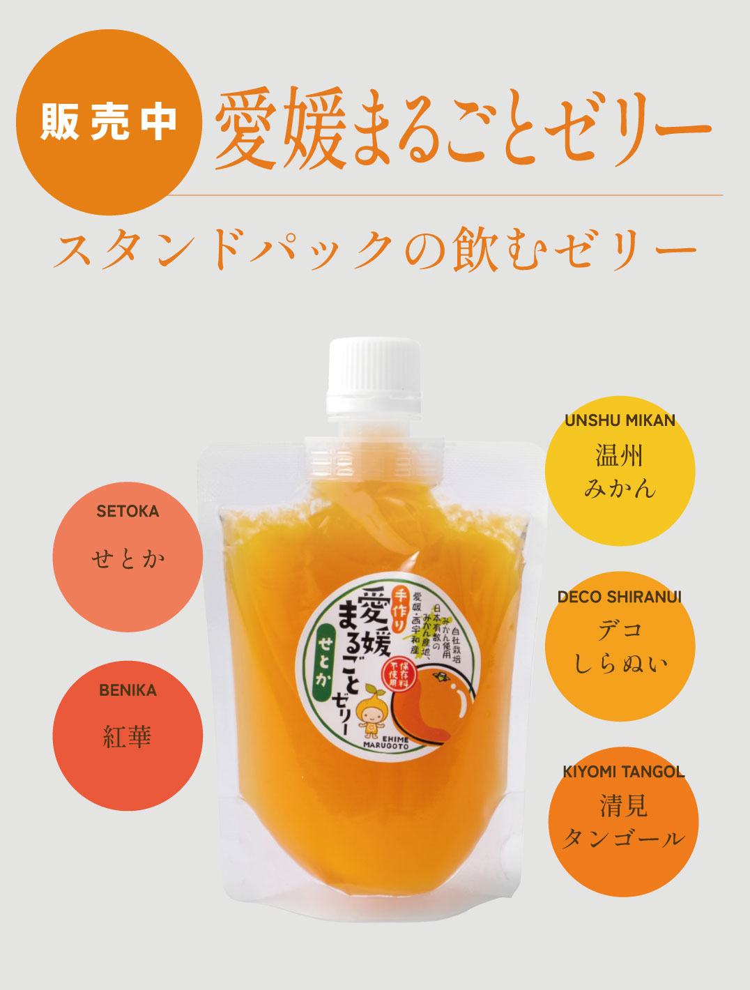 愛媛まるごとゼリー