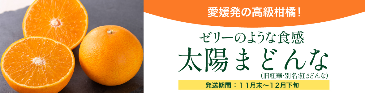 太陽まどんな