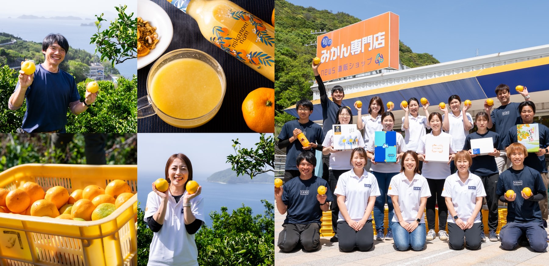 南の果樹園ニュウズ直営オンラインショップ 愛媛みかん・温州みかんの通販サイト|産地直送!全国発送OK