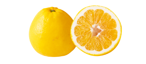 ジューシーフルーツ