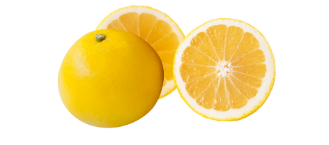 ニューサマーオレンジ