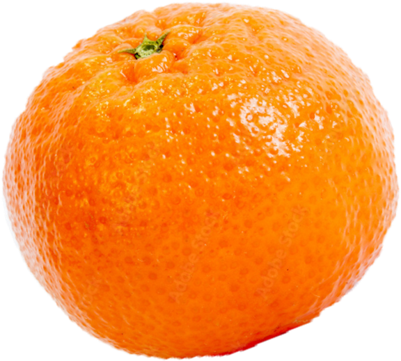 ニュウズのみかん