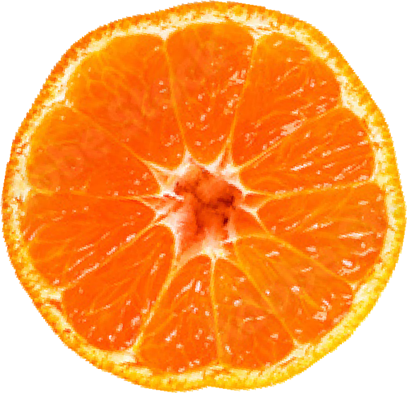 ニュウズのみかん