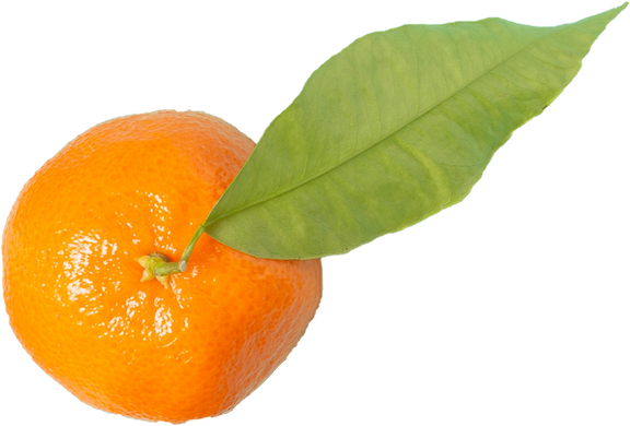 ニュウズのみかん