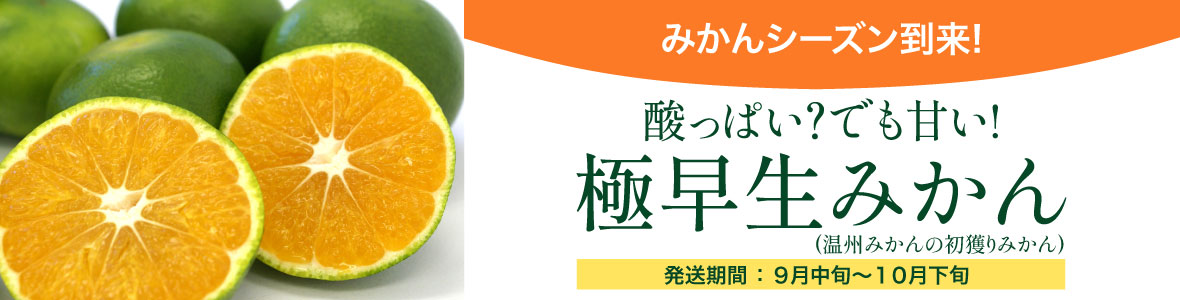 極早生みかん