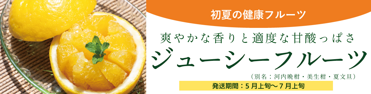 ジューシーフルーツ