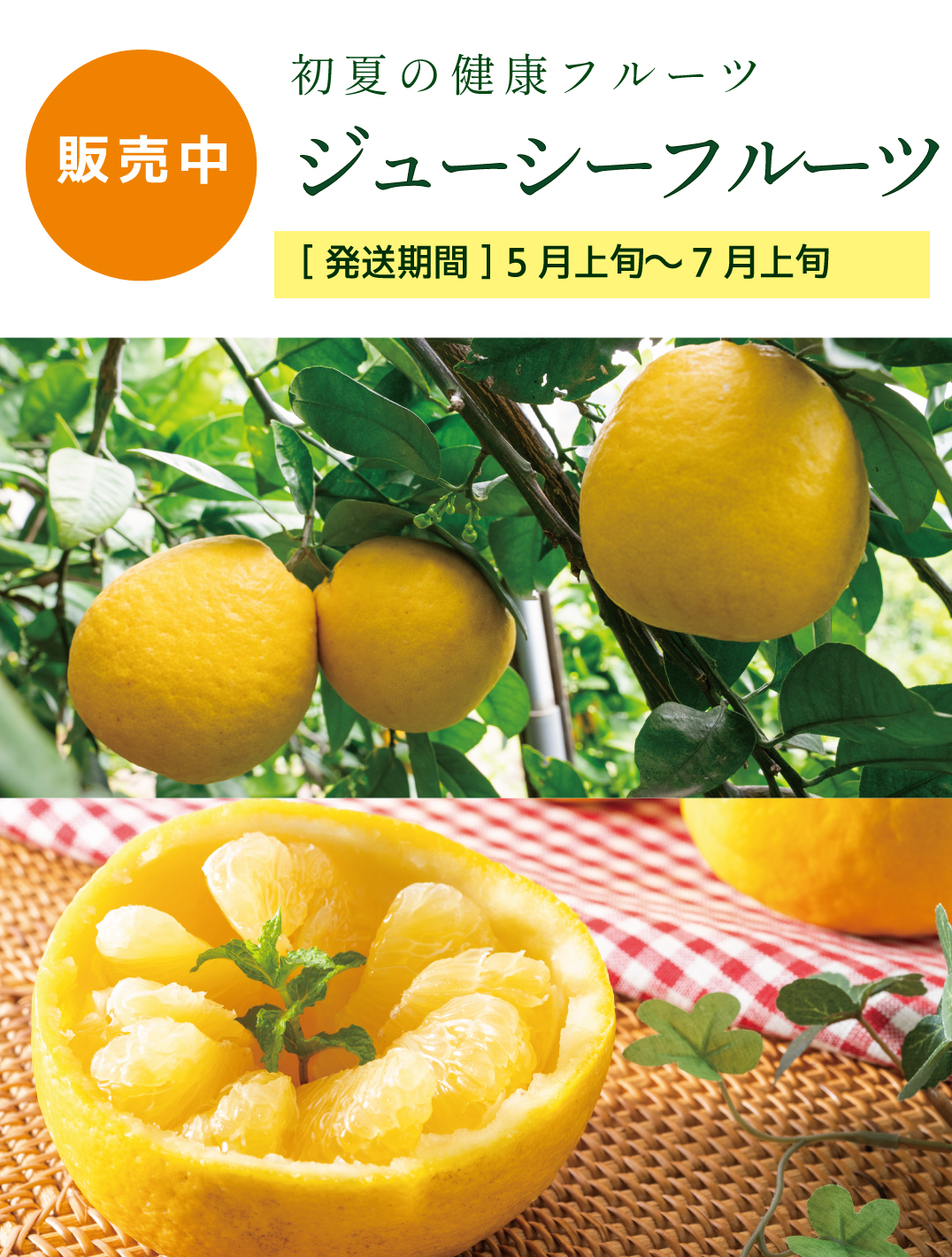 ジューシーフルーツ