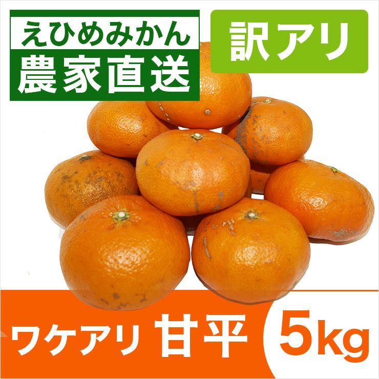 みかん産直 南の果樹園ニュウズ｜愛媛みかん・温州みかんの通販サイト