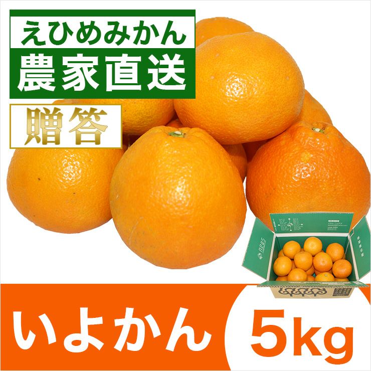 いよかん5kg【送料無料】（北海道・沖縄は500円） | みかん産直 南の