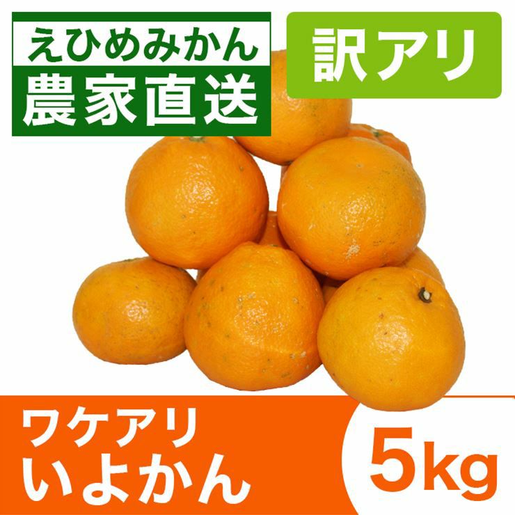 みかん産直 南の果樹園ニュウズ｜愛媛みかん・温州みかんの通販サイト