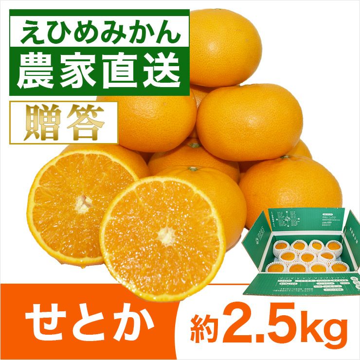 せとか | みかん産直 南の果樹園ニュウズ