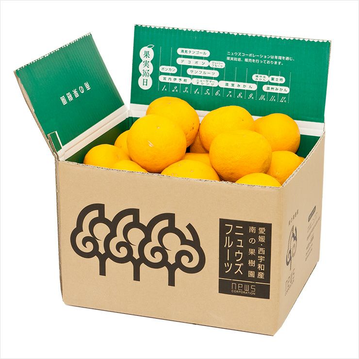 サンフルーツ5kg 【送料無料】（北海道・沖縄は500円） | みかん産直