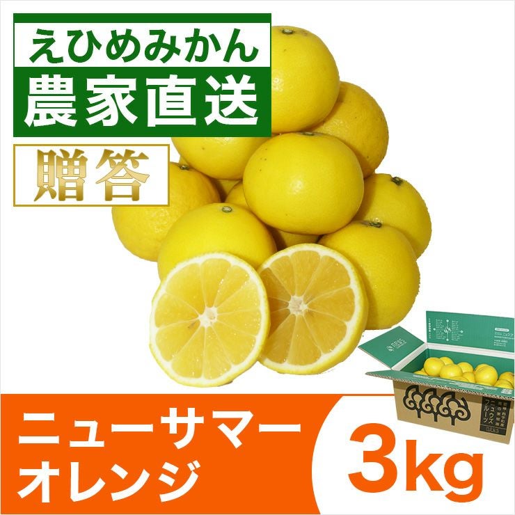 ニューサマーオレンジ3kg | みかん産直 南の果樹園ニュウズ