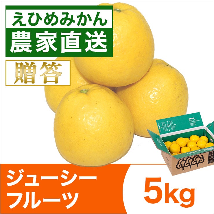みかん産直 南の果樹園ニュウズ｜愛媛みかん・温州みかんの通販サイト