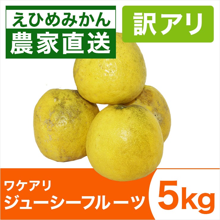 みかん産直 南の果樹園ニュウズ｜愛媛みかん・温州みかんの通販サイト