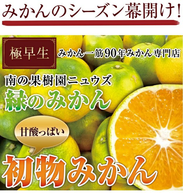 極早生みかん5kg | みかん産直 南の果樹園ニュウズ