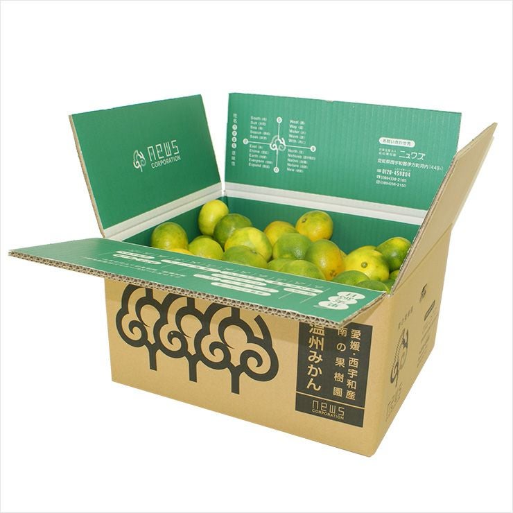 極早生みかん5kg | みかん産直 南の果樹園ニュウズ