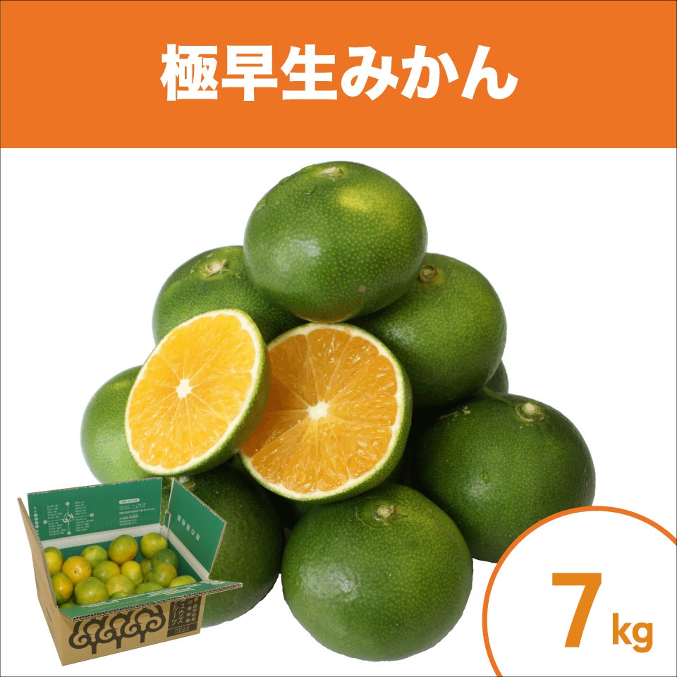 みかんページです☆ みかん産直 南の果樹園ニュウズ｜愛媛みかん・温州みかんの通販サイト