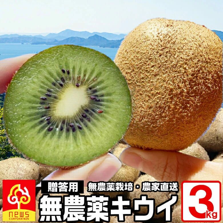 キウイフルーツ3kg | みかん産直 南の果樹園ニュウズ