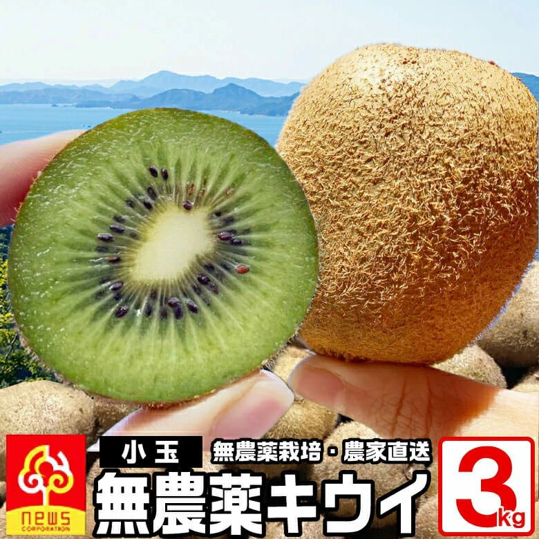 小玉キウイフルーツ3kg | みかん産直 南の果樹園ニュウズ