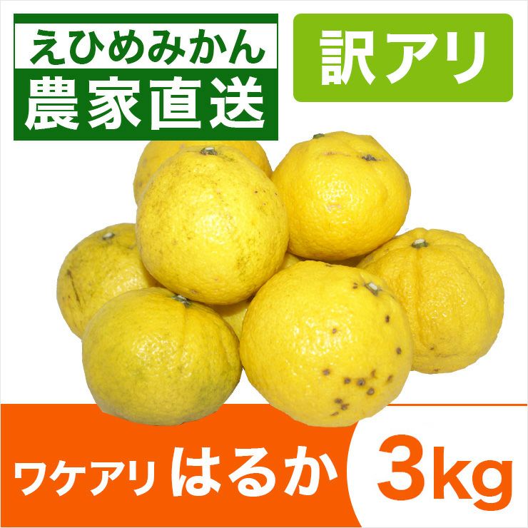 はるか | みかん産直 南の果樹園ニュウズ