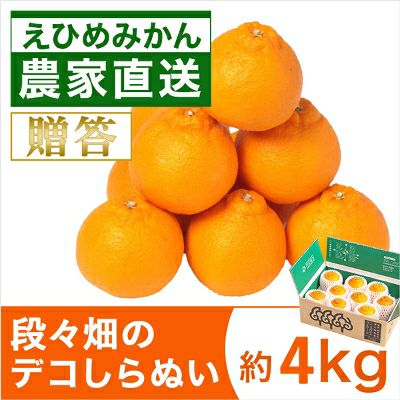 だんだんのデコしらぬい約4kg | みかん産直 南の果樹園ニュウズ