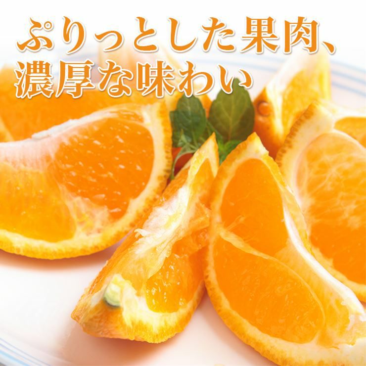 だんだんのデコしらぬい約4kg | みかん産直 南の果樹園ニュウズ