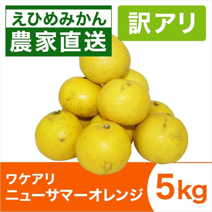 ニューサマーオレンジ | みかん産直 南の果樹園ニュウズ