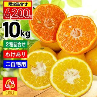 いよかん | みかん産直 南の果樹園ニュウズ