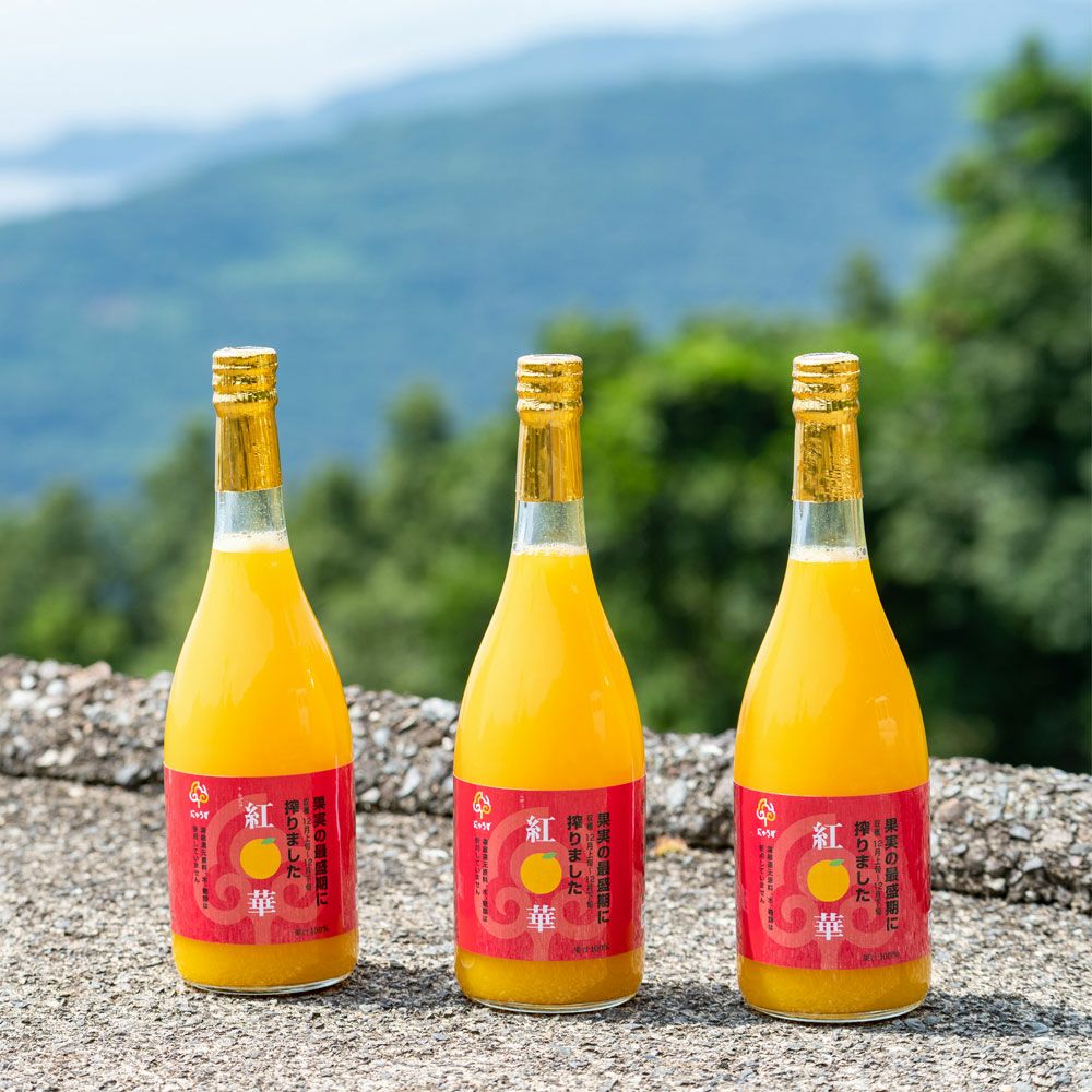 だんだん掲載商品【旬夏号】 | みかん産直 南の果樹園ニュウズ