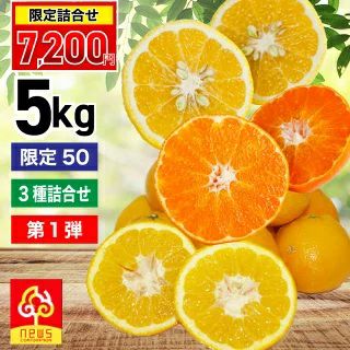 はるか | みかん産直 南の果樹園ニュウズ